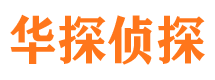 鹿寨市调查公司